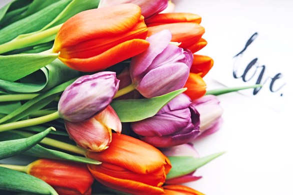 Tulips from a lover by Brigitte Tohm on unsplash
